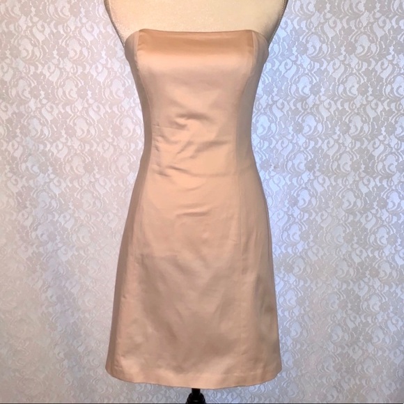 Robin Jordan Dresses & Skirts - Robin Jordan Strapless Baby Pink Dress